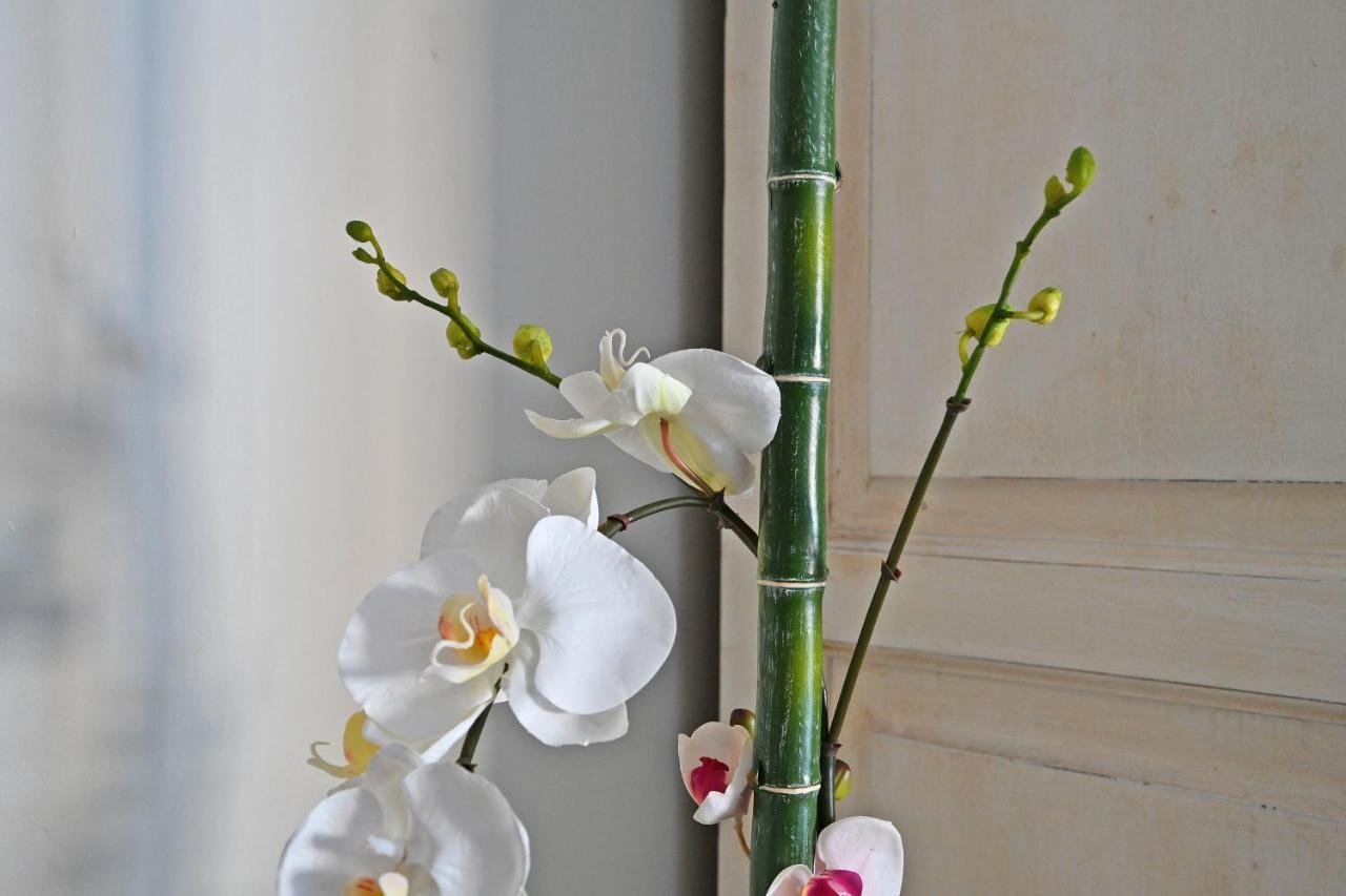 Au Coeur Des Papes, Dans Batisse De Charme Studios & Appartements En Coeur De Ville Avinyon Dış mekan fotoğraf